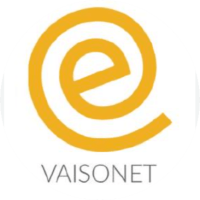 Logo Vaisonet, solutions informatiques et ERP